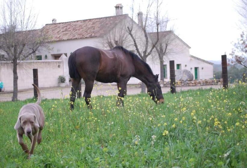 Casa Rural El Vihuelo