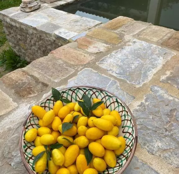 Casa Rural El Vihuelo