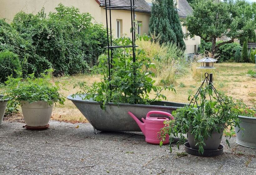 Boutiquehotel Goldene Rose   Self Check In