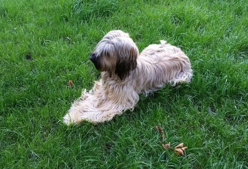 Boutiquehotel Goldene Rose   Self Check In