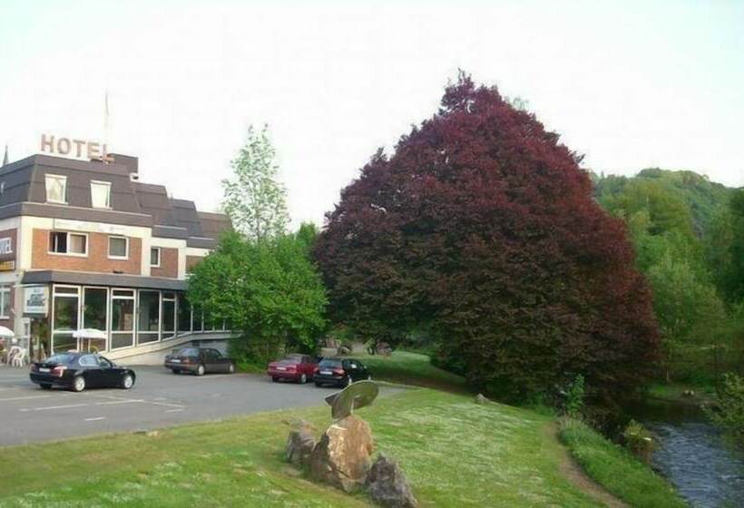 Diemelhotel Marsburg