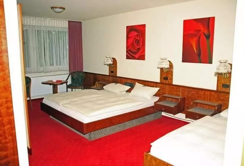 Diemelhotel Marsburg