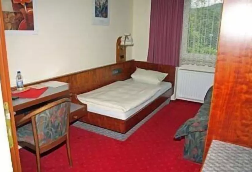 Diemelhotel Marsburg