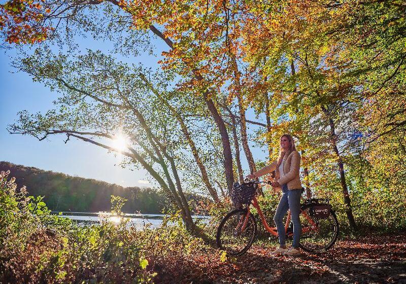 Отель Dorint Resort Baltic Hills Usedom