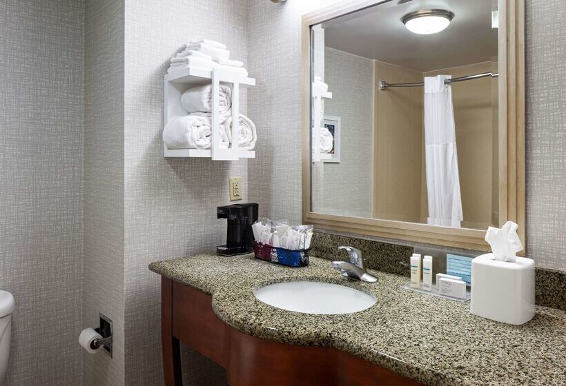 فندق Hampton Inn & Suites Mobile I 65@ Airport Blvd