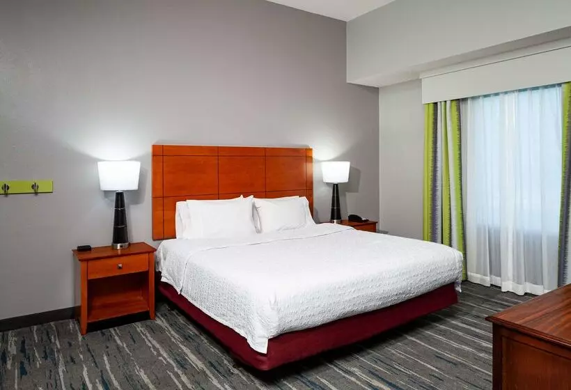 هتل Hampton Inn & Suites Mobile I 65@ Airport Blvd
