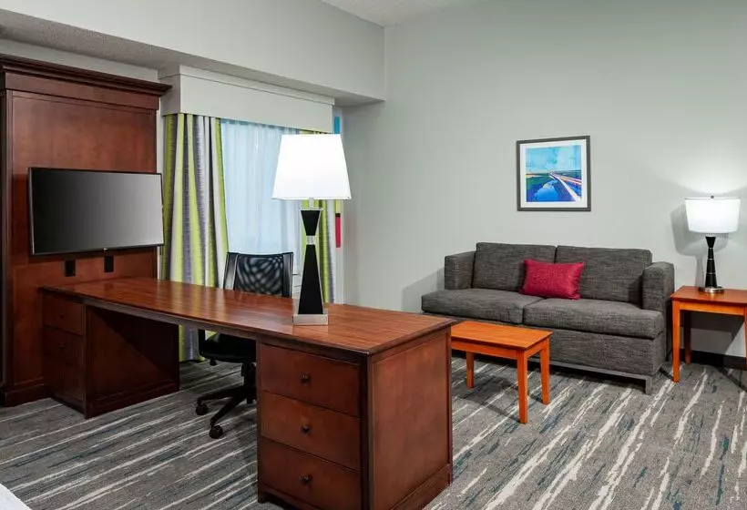 هتل Hampton Inn & Suites Mobile I 65@ Airport Blvd