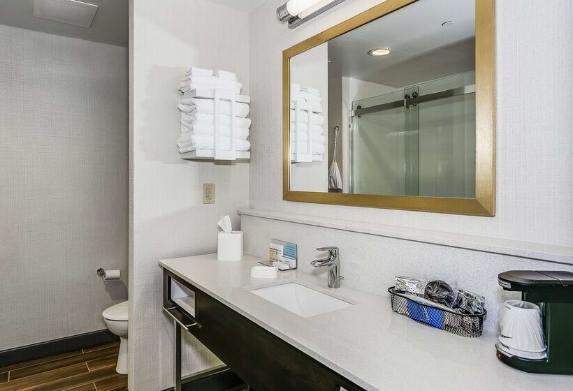 فندق Hampton Inn & Suites Mobile  Downtown Historic District