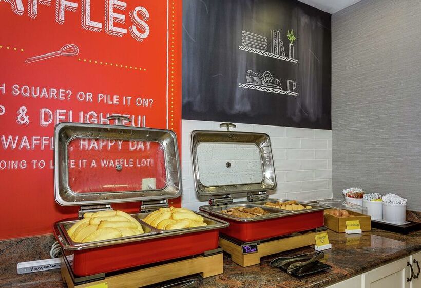 فندق Hampton Inn & Suites Mobile  Downtown Historic District