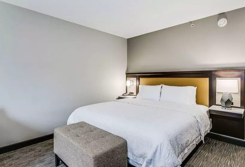 هتل Hampton Inn & Suites Mobile Downtown Historic District