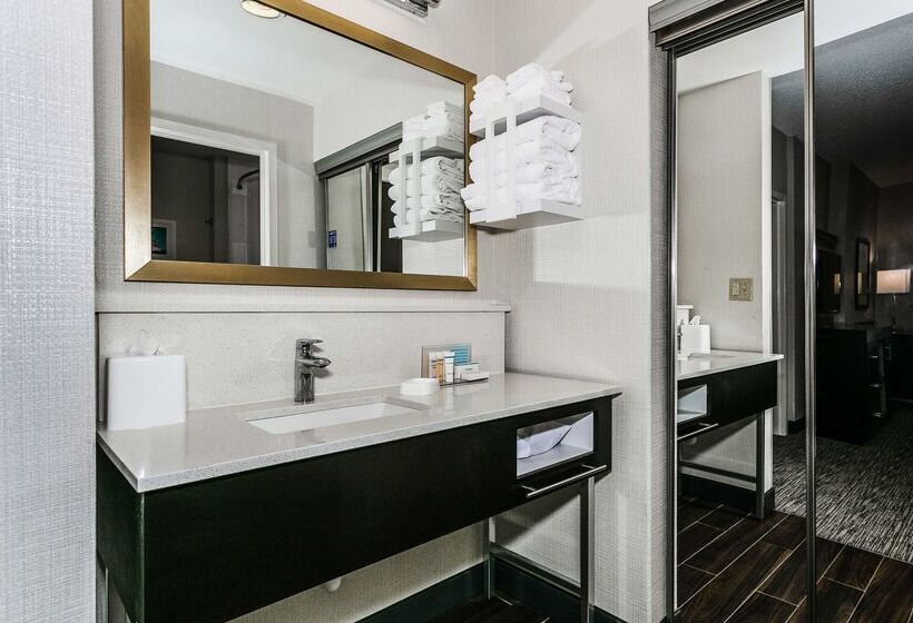فندق Hampton Inn & Suites Mobile  Downtown Historic District