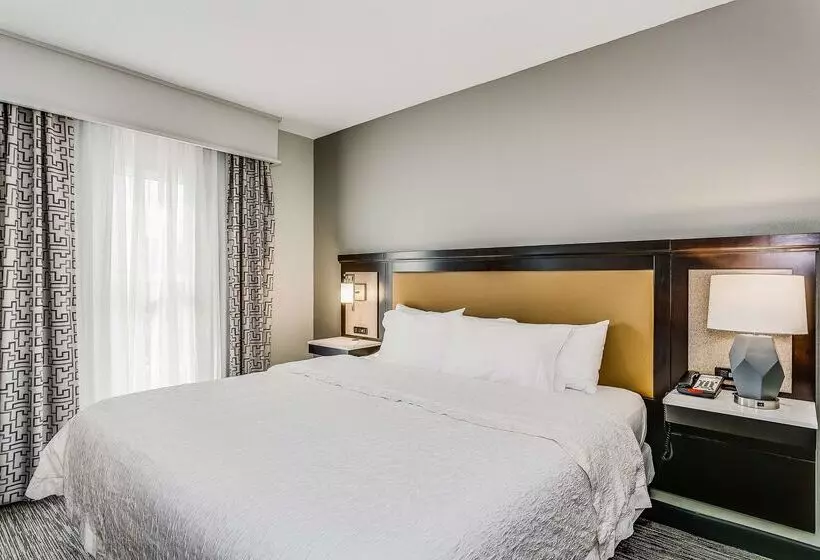 هتل Hampton Inn & Suites Mobile Downtown Historic District