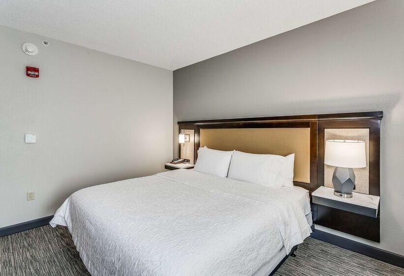 فندق Hampton Inn & Suites Mobile  Downtown Historic District