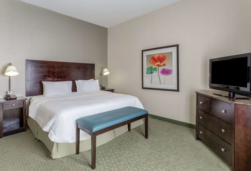 فندق Hampton Inn Richmond  South