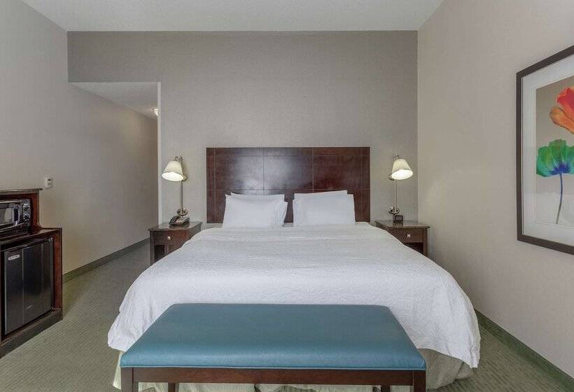 فندق Hampton Inn Richmond  South