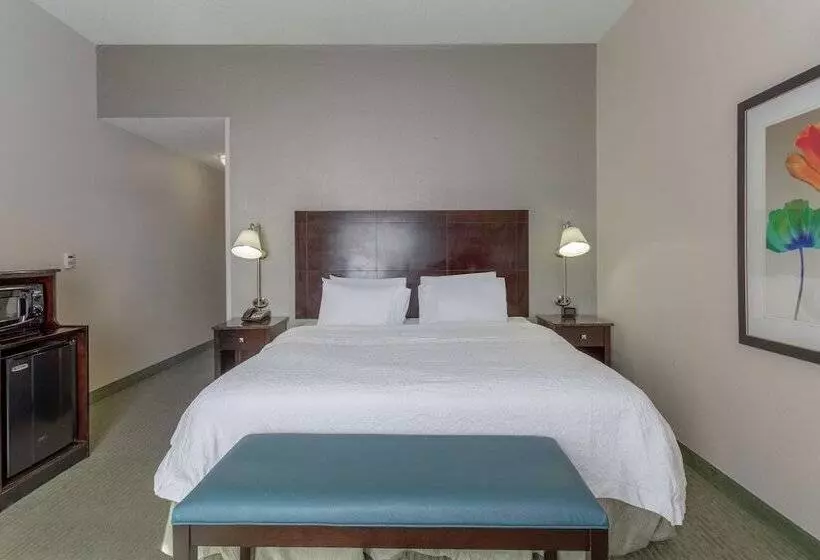 هتل Hampton Inn Richmond  South