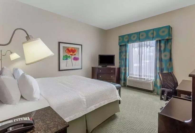 هتل Hampton Inn Richmond  South