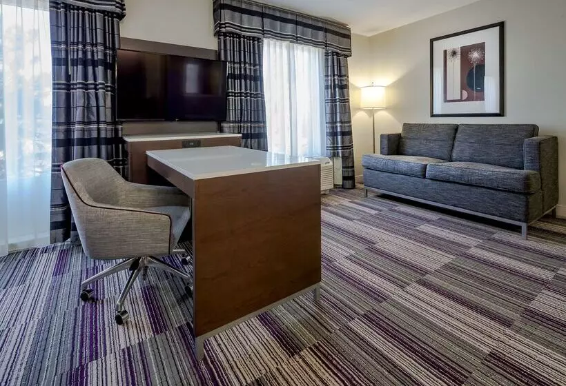 호텔 Hampton Inn & Suites Chicago Southlandmatteson