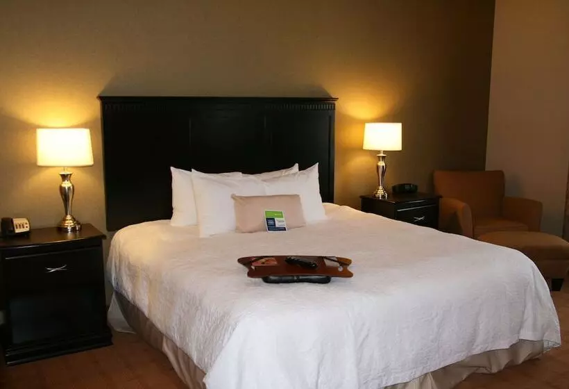 ホテル Hampton Inn & Suites Chicago/st. Charles