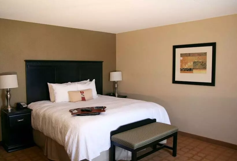ホテル Hampton Inn & Suites Chicago/st. Charles