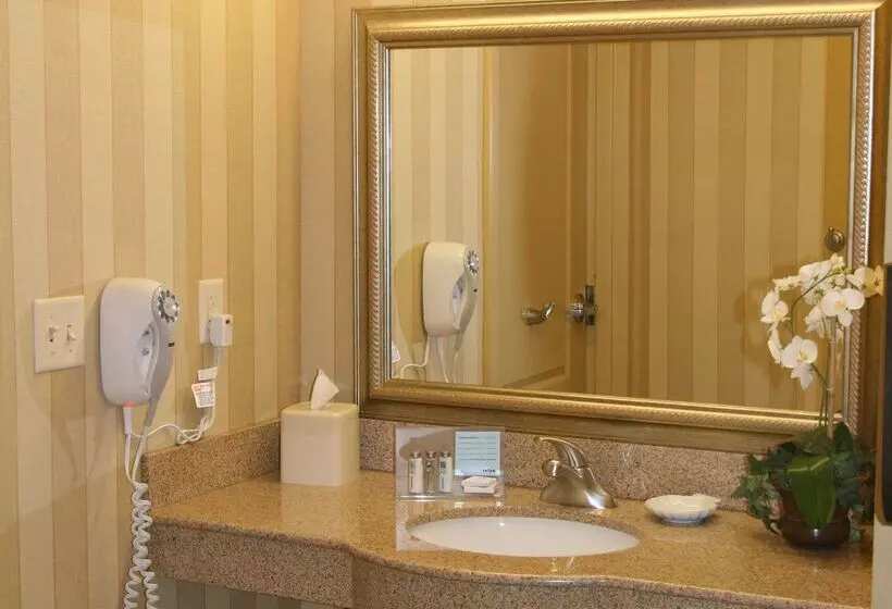 ホテル Hampton Inn & Suites Chicago/st. Charles