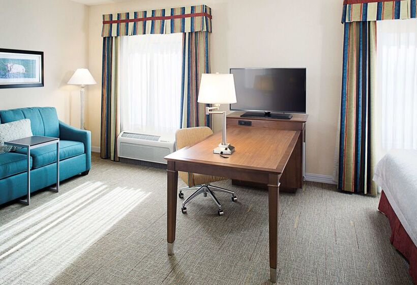 فندق Hampton Inn & Suites Mansfield