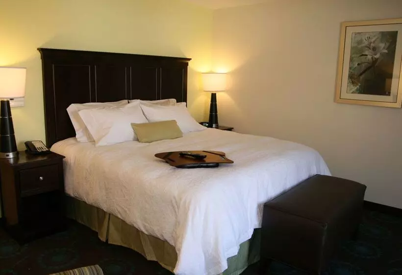 Отель Hampton Inn & Suites Wilder