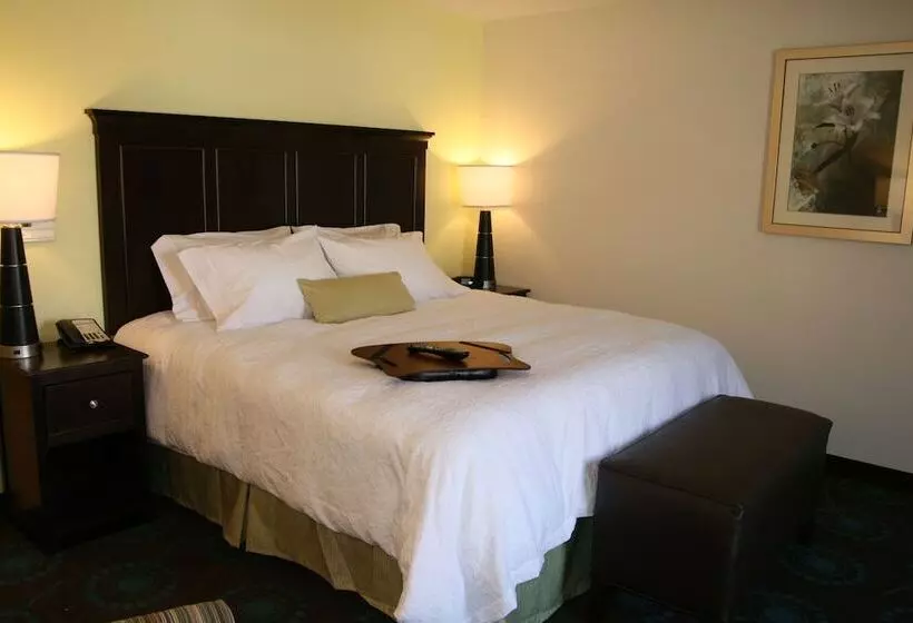 Отель Hampton Inn & Suites Wilder
