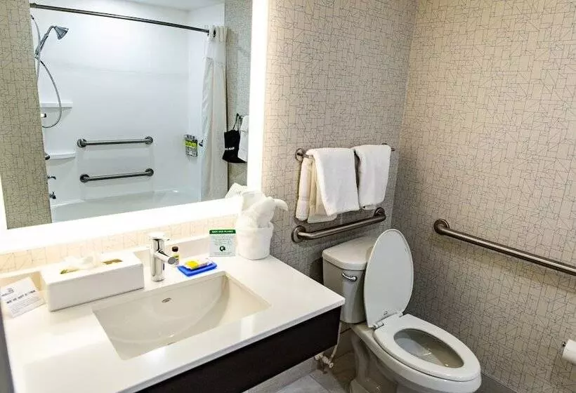 ホテル Holiday Inn Express Columbus Dublin, An Ihg