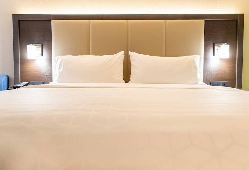 فندق Holiday Inn Express Columbus Dublin, An Ihg