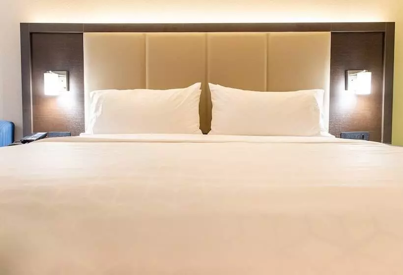 ホテル Holiday Inn Express Columbus Dublin, An Ihg