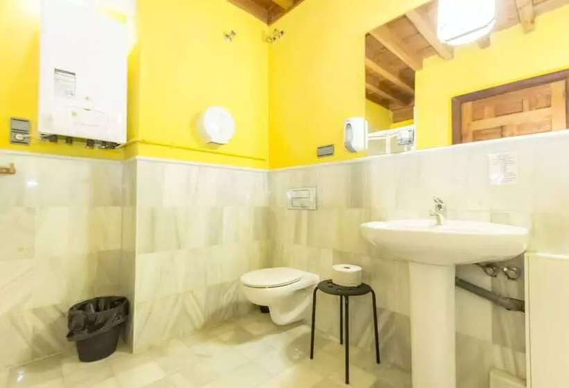 هاستل White Nest