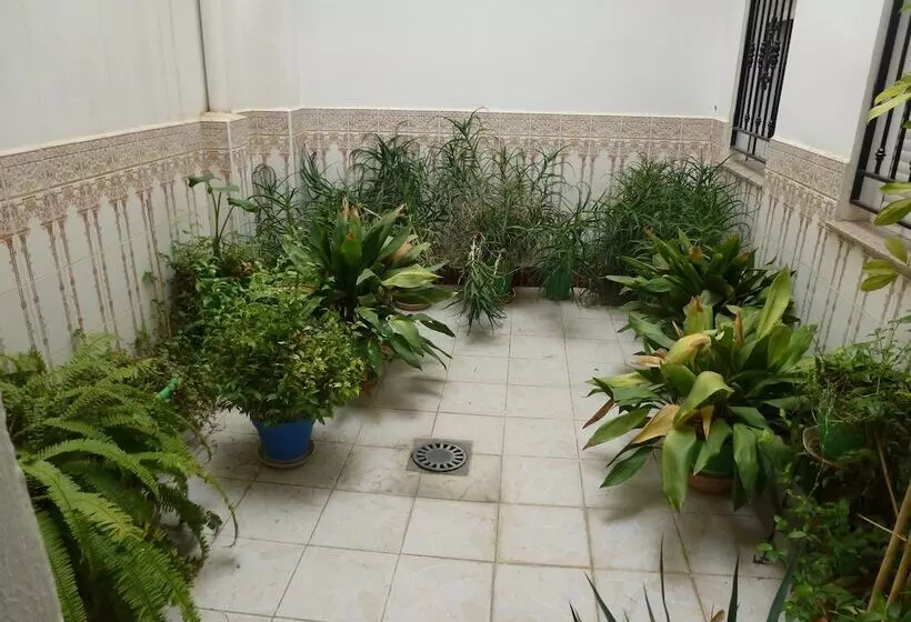 هتل Ciudad Pozo Alcon