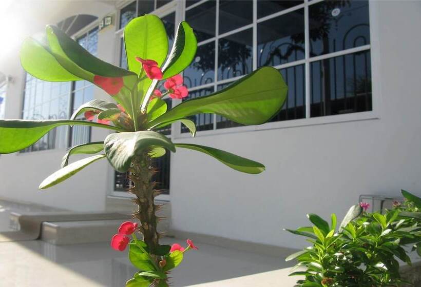 בית מלון כפרי La Casona