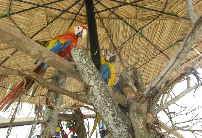 בית מלון כפרי La Casona