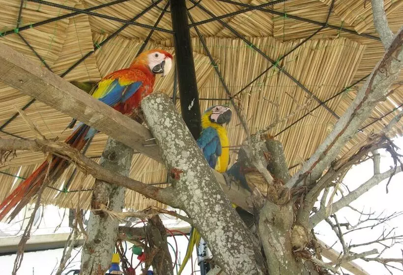 בית מלון כפרי La Casona