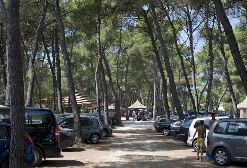 リゾートホテル Pine Beach Pakostane Glamping Homes   All Inclusive Light