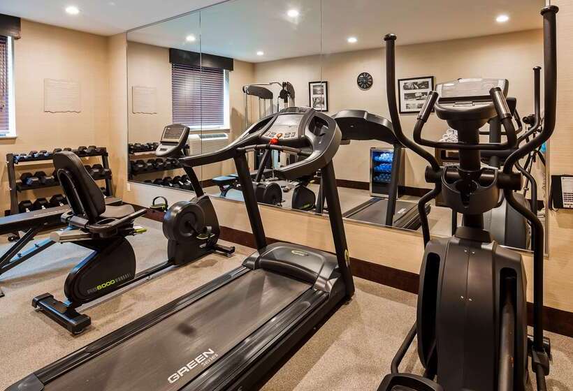 酒店 Best Western Plus Plaza