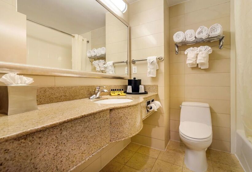 酒店 Best Western Plus Plaza