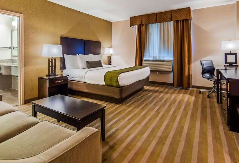 酒店 Best Western Plus Plaza