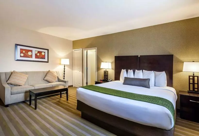 فندق Best Western Plus Plaza