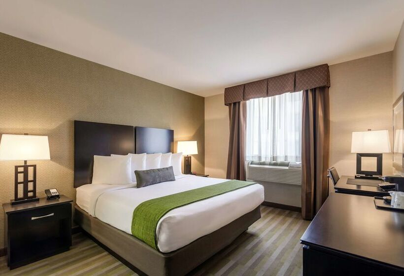 酒店 Best Western Plus Plaza