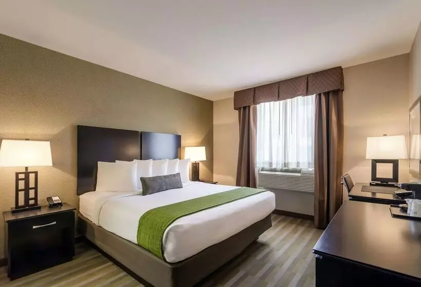 فندق Best Western Plus Plaza