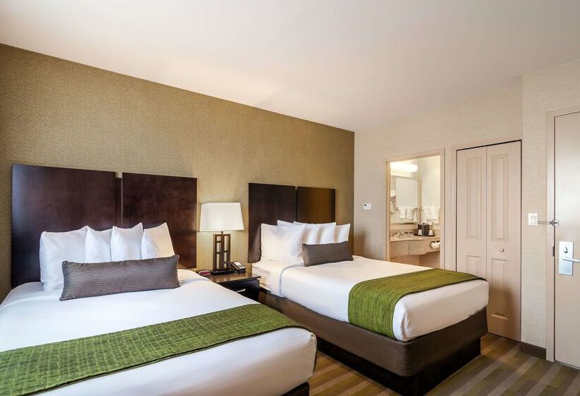 酒店 Best Western Plus Plaza