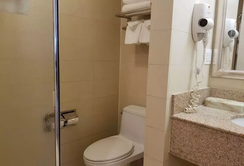 فندق Best Western Plus Plaza