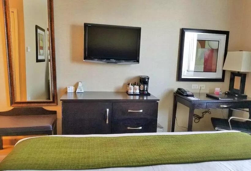 فندق Best Western Plus Plaza