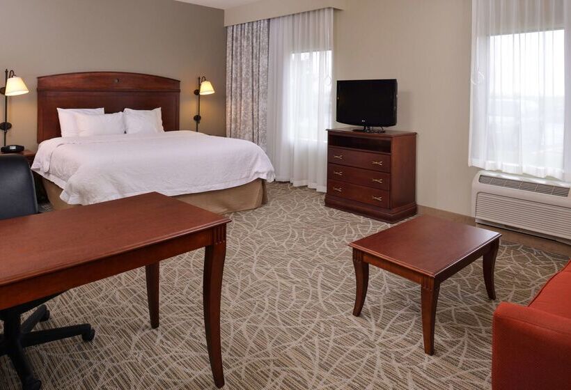 ホテル Hampton Inn By Hilton Litchfield