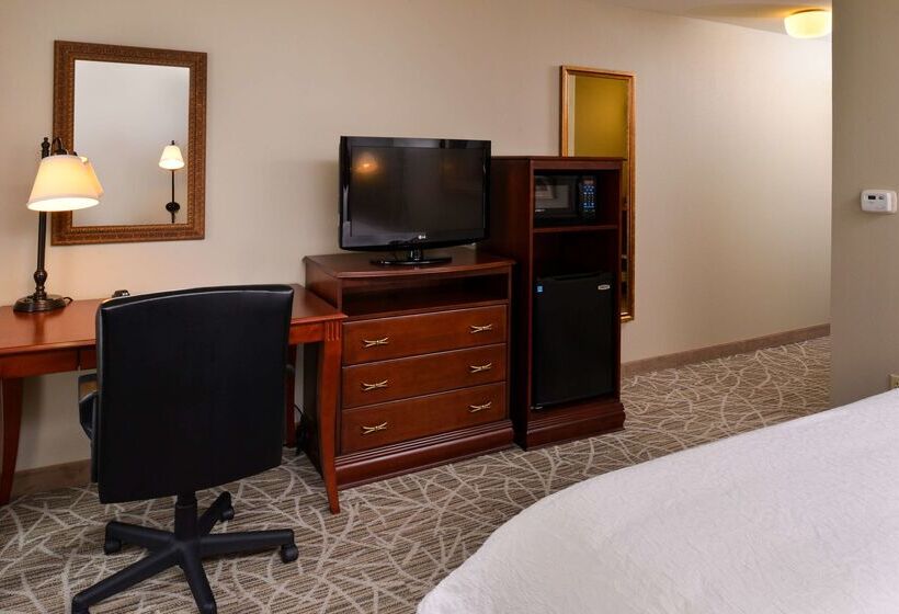 ホテル Hampton Inn By Hilton Litchfield