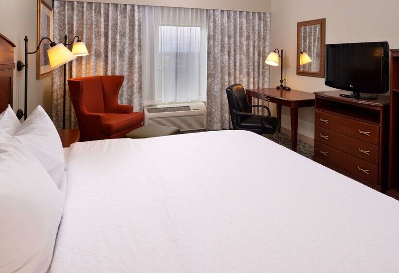 ホテル Hampton Inn By Hilton Litchfield