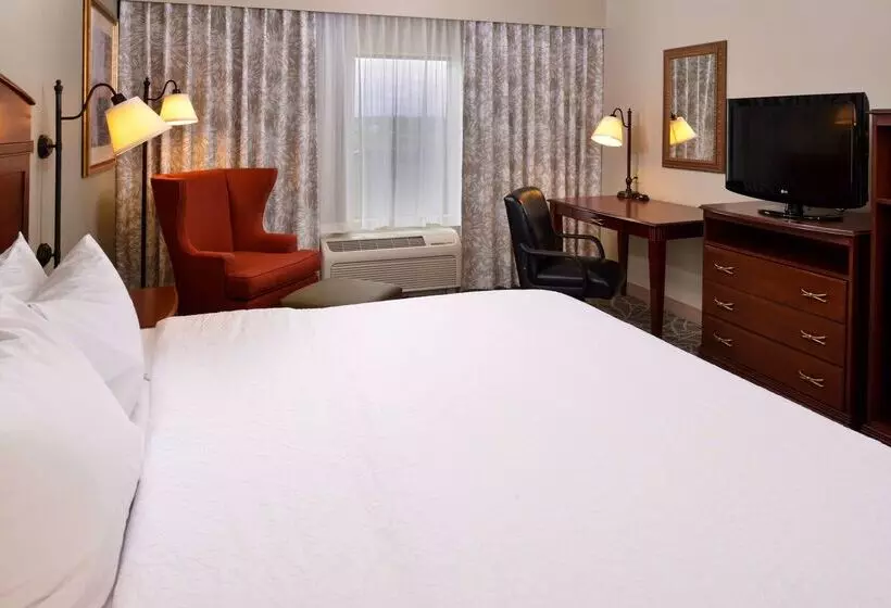 ホテル Hampton Inn By Hilton Litchfield